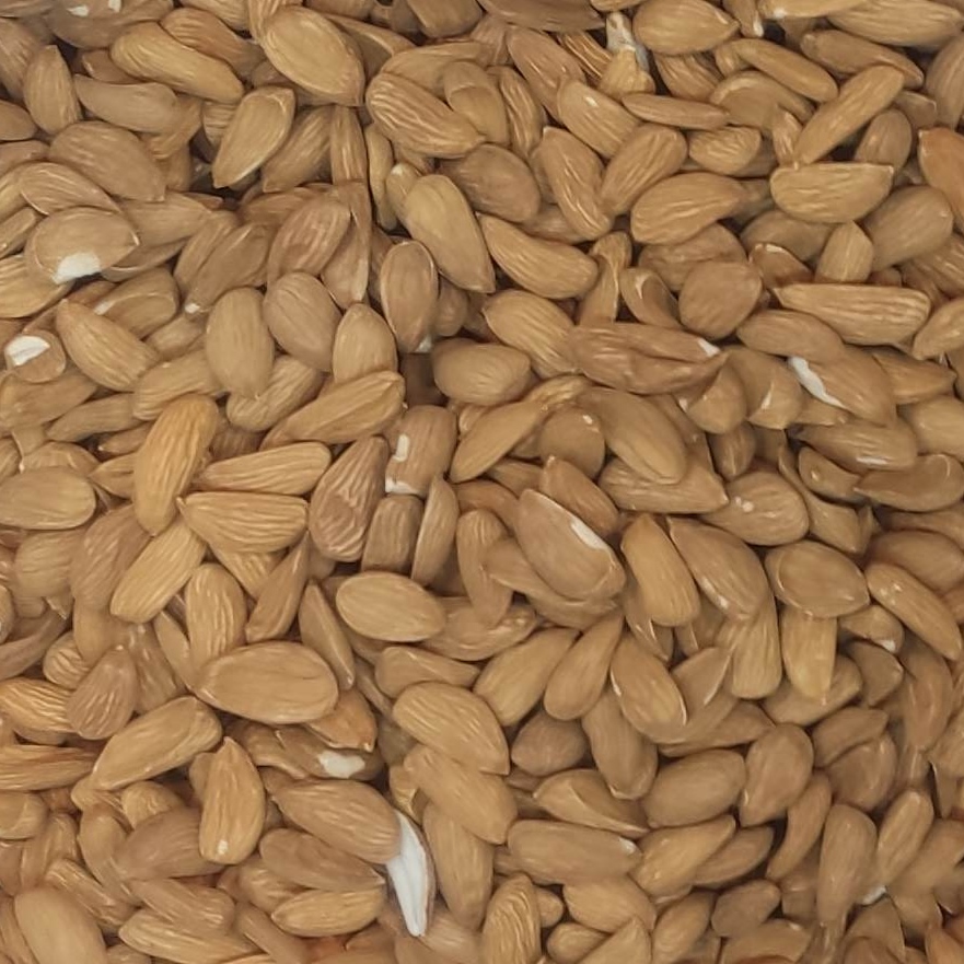 Wholesale Mamra Almonds Supplier in UAE; Bulk Price + Import Regulations